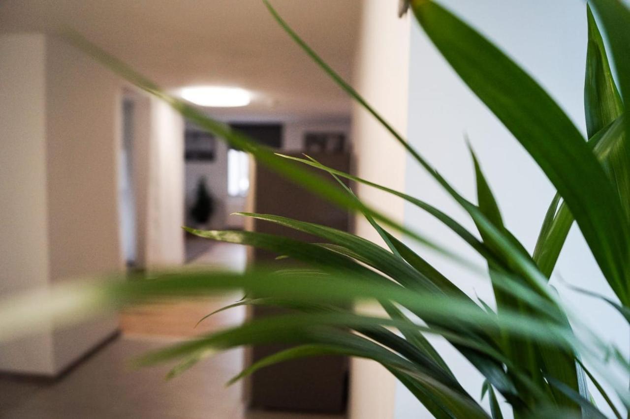 Wohlfuehlen Am Grossen Goitzschesee Inkl. Netflix Holzweissig Exterior foto